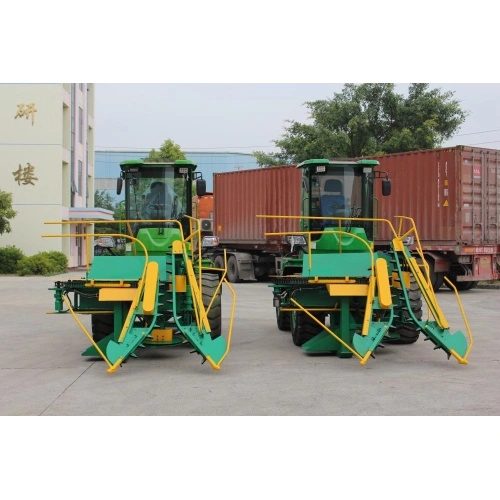 Katta kokraklari bolgan qiz boglangan edi